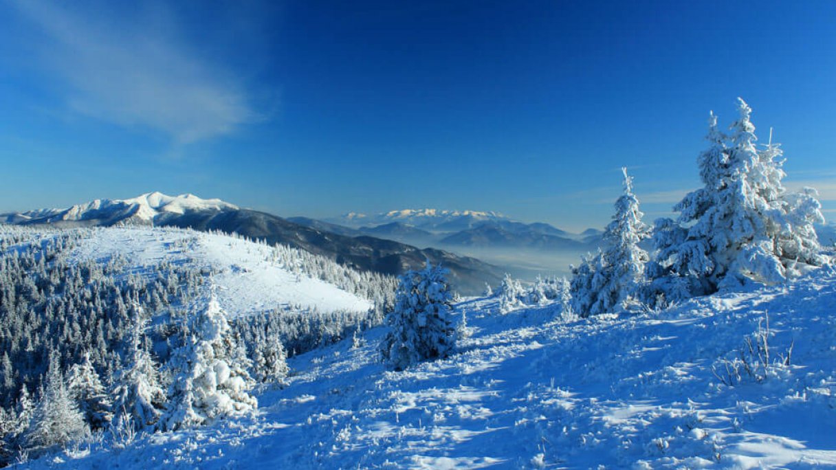 Minčol Malá Fatra 1 Zdroj: https://sk.wikipedia.org/wiki/Min%C4%8Dol_(vrch_v_Malej_Fatre)