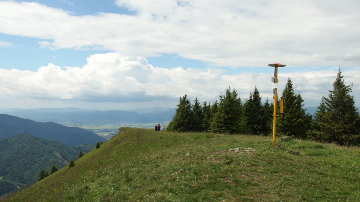 Lysec Veľká Fatra 1 Autor: Michal Jakubský Zdroj: https://sk.wikipedia.org/wiki/Lysec_(vrch_vo_Ve%C4%BEkej_Fatre)#/media/S%C3%BAbor:Lysec_-_vrchol_1381_m.n.m_-_panoramio.jpg