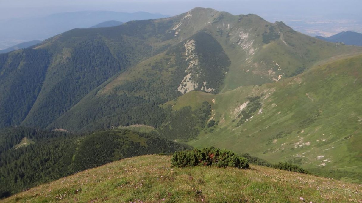 Malý Kriváň Malá Fatra 1 Zdroj: https://pl.wikipedia.org/wiki/Ma%C5%82y_Krywa%C5%84_(Ma%C5%82a_Fatra)