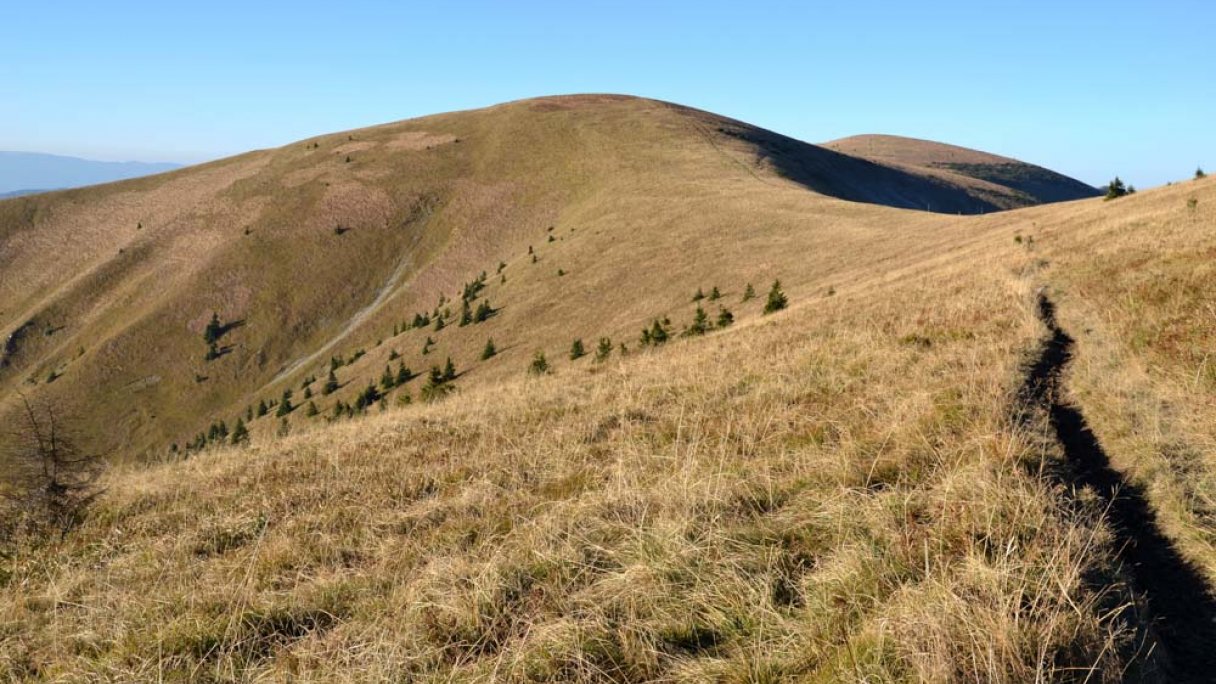 Ostredok Veľká Fatra 1 Zdroj: https://sk.wikipedia.org/wiki/Ostredok_(vrch_vo_Ve%C4%BEkej_Fatre)