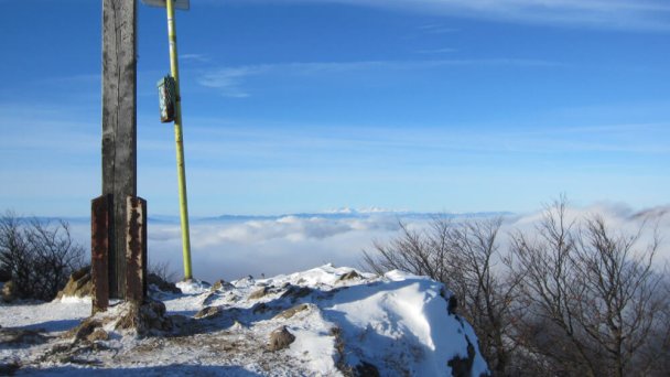 Šimonka Slanské vrchy 5 Autor: Milan Bališin Zdroj: https://commons.wikimedia.org/w/index.php?curid=72594272 Šimonka Slanské vrchy 5 Autor: Milan Bališin Zdroj: https://commons.wikimedia.org/w/index.php?curid=72594272