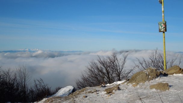 Šimonka Slanské vrchy 2 Autor: Milan Bališin Zdroj: https://commons.wikimedia.org/w/index.php?curid=72594272 Šimonka Slanské vrchy 2 Autor: Milan Bališin Zdroj: https://commons.wikimedia.org/w/index.php?curid=72594272