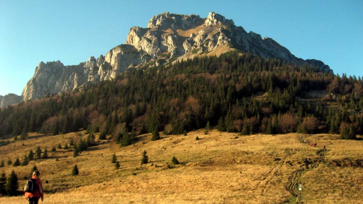 Veľký Rozsutec Malá Fatra 1 Zdroj: https://sk.wikipedia.org/wiki/Ve%C4%BEk%C3%BD_Rozsutec