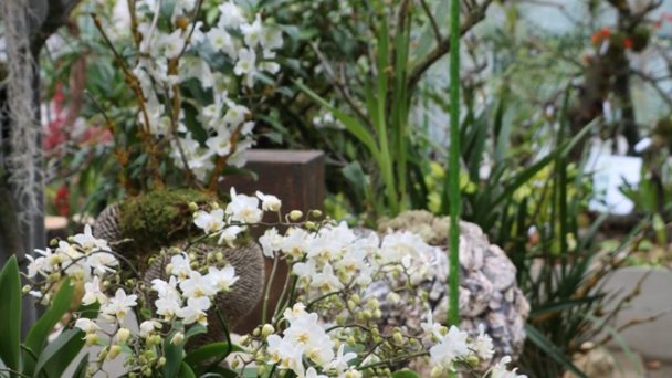 Botanická záhrada Nitra 2 Zdroj: https://scontent-vie1-1.xx.fbcdn.net/v/t1.0-0/p640x640/88236468_142621467292416_1998336570729431040_o.jpg?_nc_cat=110&_nc_sid=8024bb&_nc_oc=AQmqstRKSkJgFYuR5O19OUHWkfdnHJLrp5E-hiEaHQlwnfRM5dy7UBzylpZj7UrpnPE&_nc_ht=scontent-vie1-1.xx&_nc_tp=6&oh=879af818ab50be7c0dd4281bd8d18038&oe=5ECC8285 Botanická záhrada Nitra 2 Zdroj: https://scontent-vie1-1.xx.fbcdn.net/v/t1.0-0/p640x640/88236468_142621467292416_1998336570729431040_o.jpg?_nc_cat=110&_nc_sid=8024bb&_nc_oc=AQmqstRKSkJgFYuR5O19OUHWkfdnHJLrp5E-hiEaHQlwnfRM5dy7UBzylpZj7UrpnPE&_nc_ht=scontent-vie1-1.xx&_nc_tp=6&oh=879af818ab50be7c0dd4281bd8d18038&oe=5ECC8285