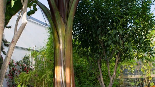 Botanická záhrada Nitra 4 Zdroj: https://scontent-vie1-1.xx.fbcdn.net/v/t1.0-0/p640x640/82481187_102388654649031_4681361623602954240_o.jpg?_nc_cat=108&_nc_sid=e007fa&_nc_oc=AQnMkZIIaJM2f3yig0ruG41R0TaZVcln3IzunSNs3LittRzpLswBnJygynGAhxtm0so&_nc_ht=scontent-vie1-1.xx&_nc_tp=6&oh=975a61f847ed4c078fb2ba1b75a47c30&oe=5ECEAFEA Botanická záhrada Nitra 4 Zdroj: https://scontent-vie1-1.xx.fbcdn.net/v/t1.0-0/p640x640/82481187_102388654649031_4681361623602954240_o.jpg?_nc_cat=108&_nc_sid=e007fa&_nc_oc=AQnMkZIIaJM2f3yig0ruG41R0TaZVcln3IzunSNs3LittRzpLswBnJygynGAhxtm0so&_nc_ht=scontent-vie1-1.xx&_nc_tp=6&oh=975a61f847ed4c078fb2ba1b75a47c30&oe=5ECEAFEA