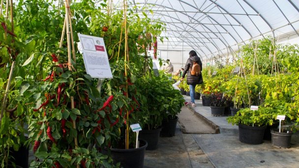 Botanická záhrada Nitra 5 Zdroj: https://scontent-vie1-1.xx.fbcdn.net/v/t1.0-0/p640x640/82973822_102388497982380_917501414966558720_o.jpg?_nc_cat=103&_nc_sid=e007fa&_nc_oc=AQn7Sk4TWZC46CKoigvPHnVu6eOrSnRMxKLkhpAi4Rql38q5oqgl0GbPZq0rgsri02Y&_nc_ht=scontent-vie1-1.xx&_nc_tp=6&oh=6d3a37d7cec76ebb78288a0d3736ed68&oe=5ECBA317 Botanická záhrada Nitra 5 Zdroj: https://scontent-vie1-1.xx.fbcdn.net/v/t1.0-0/p640x640/82973822_102388497982380_917501414966558720_o.jpg?_nc_cat=103&_nc_sid=e007fa&_nc_oc=AQn7Sk4TWZC46CKoigvPHnVu6eOrSnRMxKLkhpAi4Rql38q5oqgl0GbPZq0rgsri02Y&_nc_ht=scontent-vie1-1.xx&_nc_tp=6&oh=6d3a37d7cec76ebb78288a0d3736ed68&oe=5ECBA317