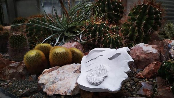 Botanická záhrada UPJŠ 3 Zdroj: https://scontent-vie1-1.xx.fbcdn.net/v/t1.0-9/87710447_130452465174306_5620856698508935168_n.jpg?_nc_cat=108&_nc_sid=110474&_nc_oc=AQnSIaMyJh6Jxd56nZZqDDwxdJT4E-a9yV0y8ybQoTAmhl3bwULDfazl-I0fD4BtPRA&_nc_ht=scontent-vie1-1.xx&oh=78da5a5663b1c55c6a47bf0541af8545&oe=5ECBB7CE Botanická záhrada UPJŠ 3 Zdroj: https://scontent-vie1-1.xx.fbcdn.net/v/t1.0-9/87710447_130452465174306_5620856698508935168_n.jpg?_nc_cat=108&_nc_sid=110474&_nc_oc=AQnSIaMyJh6Jxd56nZZqDDwxdJT4E-a9yV0y8ybQoTAmhl3bwULDfazl-I0fD4BtPRA&_nc_ht=scontent-vie1-1.xx&oh=78da5a5663b1c55c6a47bf0541af8545&oe=5ECBB7CE