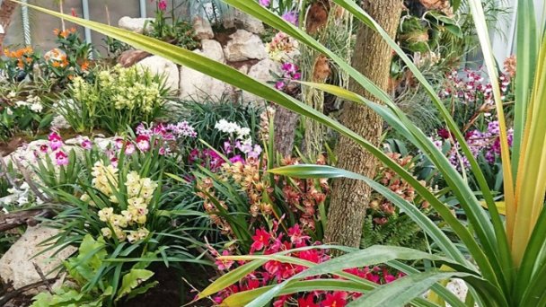 Botanická záhrada UPJŠ 7 Zdroj: https://scontent-vie1-1.xx.fbcdn.net/v/t1.0-9/s960x960/83838744_116389393247280_8195732400399974400_o.jpg?_nc_cat=102&_nc_sid=2d5d41&_nc_oc=AQkaOZuf5tUNP9dHEowW9EuFC5v2ih5L4O1lWi0yLVj51k9hM8v7dhBto67caetkl1A&_nc_ht=scontent-vie1-1.xx&_nc_tp=7&oh=8d5d3d8e96e77e7b27423715cd7b4106&oe=5ECBCB6A Botanická záhrada UPJŠ 7 Zdroj: https://scontent-vie1-1.xx.fbcdn.net/v/t1.0-9/s960x960/83838744_116389393247280_8195732400399974400_o.jpg?_nc_cat=102&_nc_sid=2d5d41&_nc_oc=AQkaOZuf5tUNP9dHEowW9EuFC5v2ih5L4O1lWi0yLVj51k9hM8v7dhBto67caetkl1A&_nc_ht=scontent-vie1-1.xx&_nc_tp=7&oh=8d5d3d8e96e77e7b27423715cd7b4106&oe=5ECBCB6A