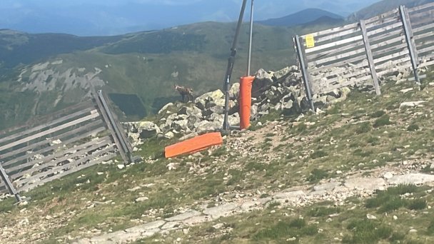 Chopok Nízke Tatry 20 Chopok Nízke Tatry 20
