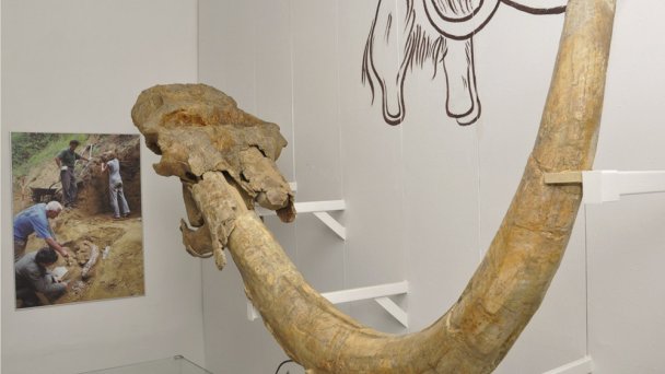 Balneologické múzeum Imricha Wintera v Piešťanoch 5