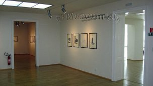 Slovenská národná galéria, SNG Bratislava 5 Zdroj: https://www.muzeum.sk/slovenska-narodna-galeria-bratislava.html