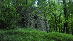 Hrad Ostrý Kameň Autor: I, Doronenko Zdroj: https://upload.wikimedia.org/wikipedia/commons/a/ab/Ostry_kamen_1.jpg