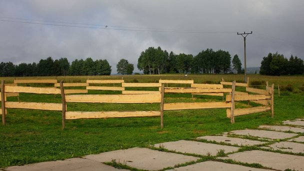 Kone vo Východnej 6 Kone vo Východnej 6