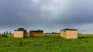 Kone vo Východnej 5