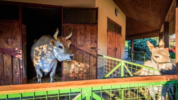 Ranč u Bobiho - Gazdovský dvor Zdroj: https://www.bobiranc.sk/wp-content/gallery/Hlavn%C3%A1-gal%C3%A9ria/thumbs/thumbs_Ranc-u-Bobiho-Gazdovsky-dvor-1.jpg Ranč u Bobiho - Gazdovský dvor Zdroj: https://www.bobiranc.sk/wp-content/gallery/Hlavn%C3%A1-gal%C3%A9ria/thumbs/thumbs_Ranc-u-Bobiho-Gazdovsky-dvor-1.jpg