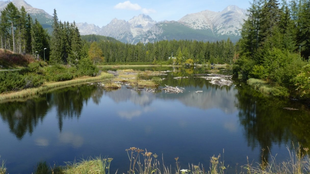 Jazero Nové Štrbské pleso 1