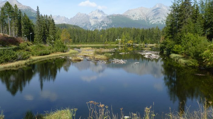 Jazero Nové Štrbské pleso