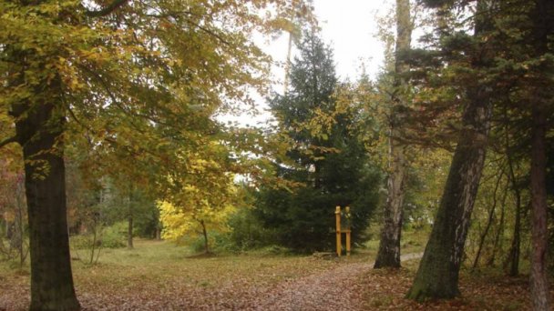 Arborétum 4