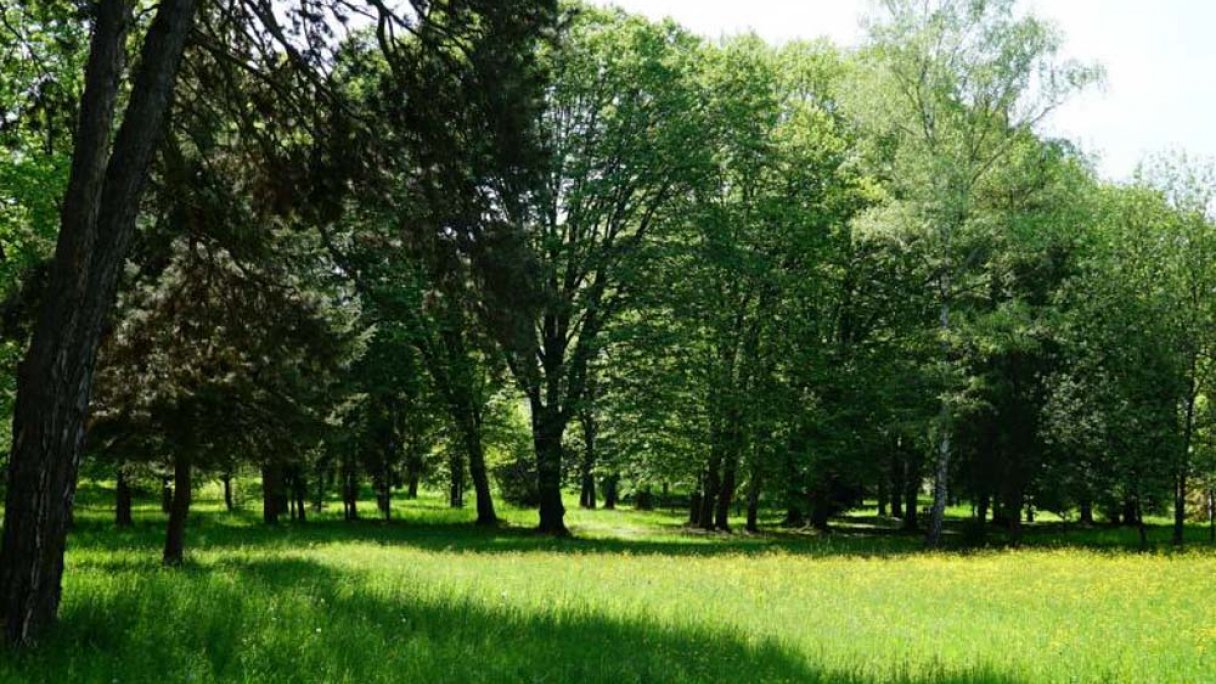 Historický park Snina 2 Zdroj: https://www.snina.sk/mesto/pamiatky-a-pamatihodnosti/pamiatky/historicky-park-pri-kastieli/