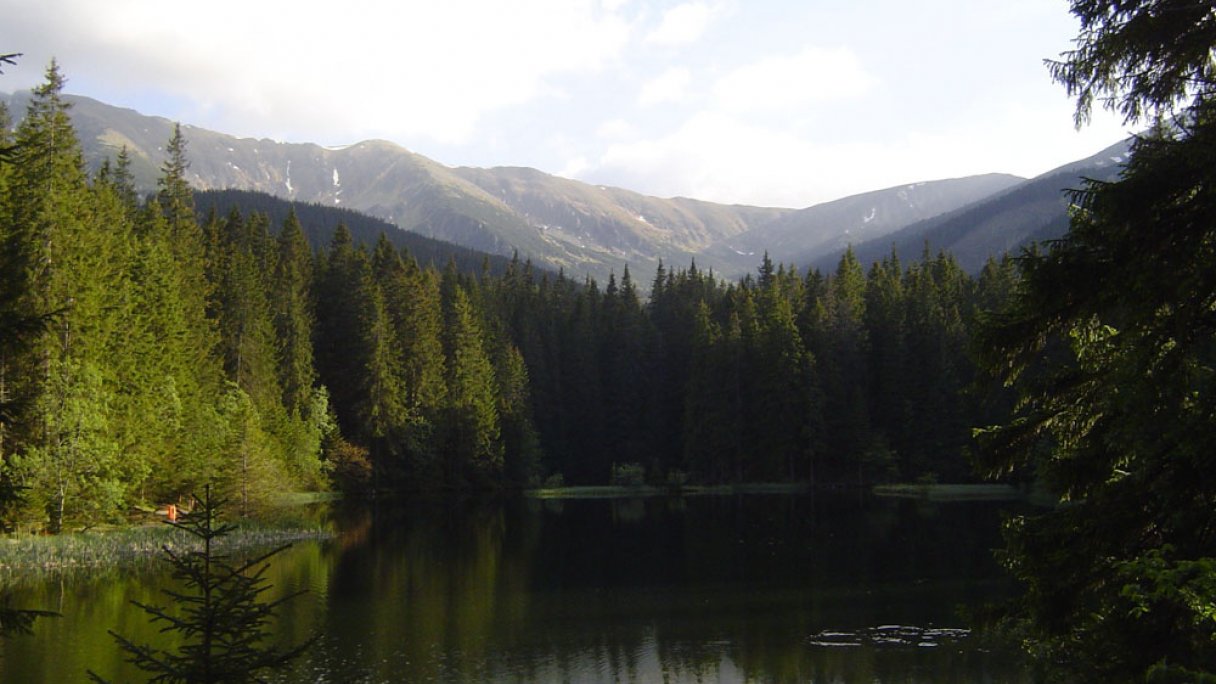 Vrbické pleso 1