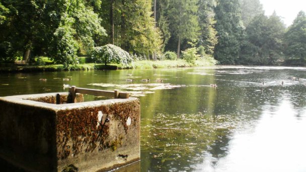 Arborétum - Park Turčianska Štiavnička 4 Zdroj: https://sk.wikipedia.org/wiki/Tur%C4%8Dianska_%C5%A0tiavni%C4%8Dka Arborétum - Park Turčianska Štiavnička 4 Zdroj: https://sk.wikipedia.org/wiki/Tur%C4%8Dianska_%C5%A0tiavni%C4%8Dka