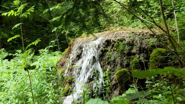 Arborétum - Park Turčianska Štiavnička 5 Zdroj: https://sk.wikipedia.org/wiki/Tur%C4%8Dianska_%C5%A0tiavni%C4%8Dka Arborétum - Park Turčianska Štiavnička 5 Zdroj: https://sk.wikipedia.org/wiki/Tur%C4%8Dianska_%C5%A0tiavni%C4%8Dka