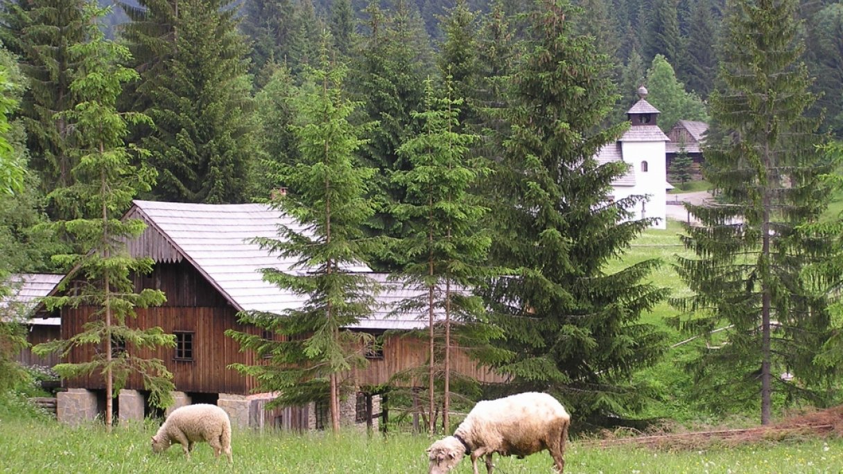 Skanzen Vychylovka Autor: Pecik Zdroj: https://upload.wikimedia.org/wikipedia/commons/e/e1/Vychylovka1.jpg