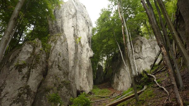 Súľovské skaly Autor: Marzper Zdroj: https://upload.wikimedia.org/wikipedia/commons/7/72/Sulovske_skaly_9.JPG