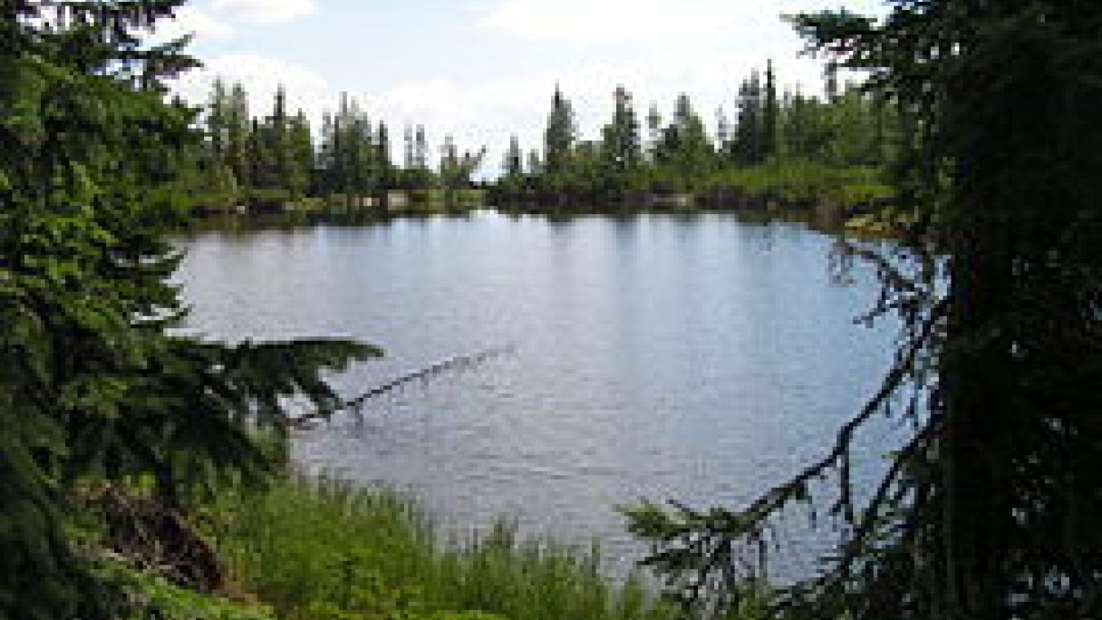 Túra na Jamské Pleso zo Štrbského Plesa 1 Autor: Hugo Zdroj: https://sk.wikipedia.org/wiki/Jamsk%C3%A9_pleso#/media/S%C3%BAbor:Jamske_pleso.jpg