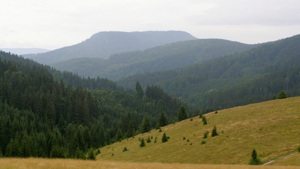 Túra na Klenovský Vepor zo Skorušinej 1 Autor: Daniel Baránek Zdroj: https://sk.wikipedia.org/wiki/Klenovsk%C3%BD_Vepor#/media/S%C3%BAbor:Balock%C3%A9_vrchy,_Klenovsk%C3%BD_Vepor,_JZ_01.jpg