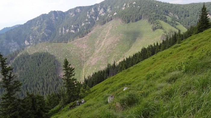 Túra na Kraková Hoľu z Demänovskej Doliny