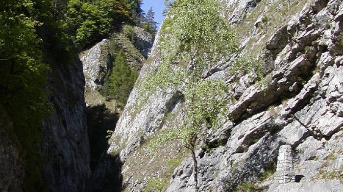 Túra po Náučnom chodníku cez Manínsku tiesňavu zo Záskalia