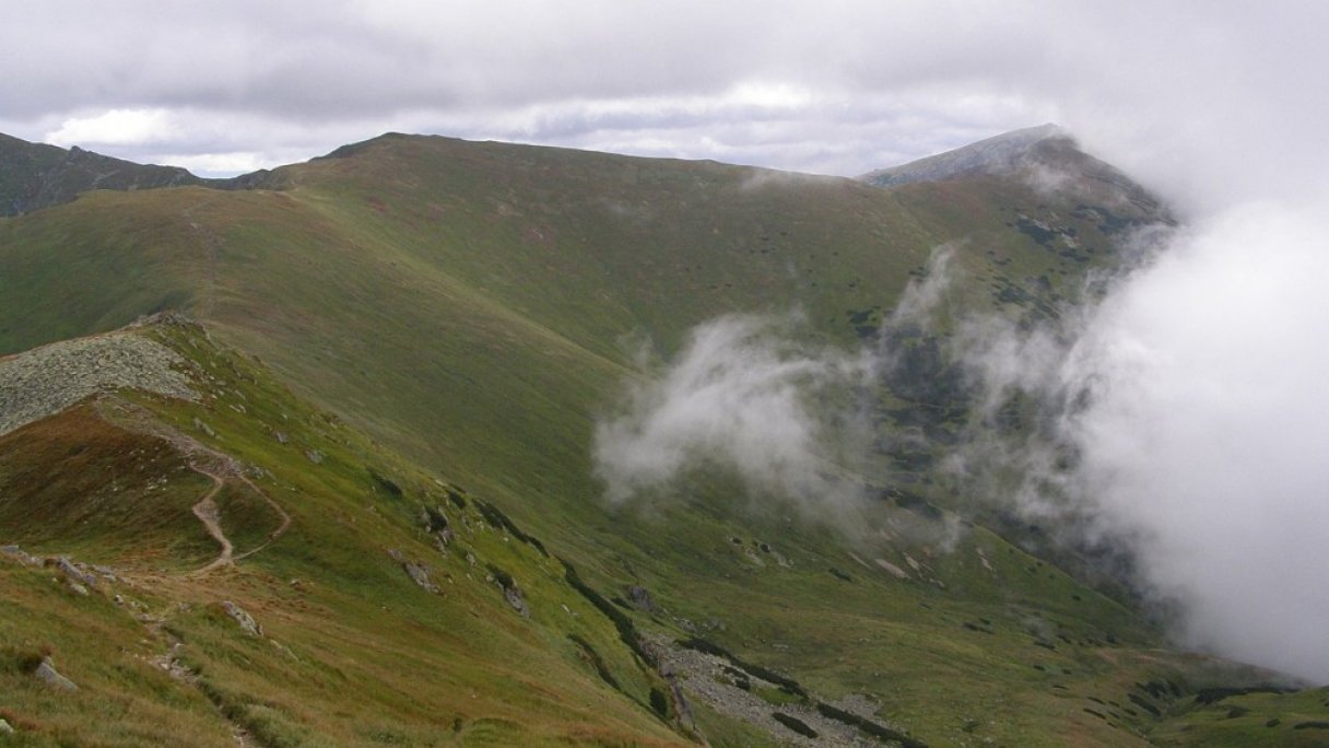 Túra na Poľanu z Demänovskej Doliny 1 Autor: Daniel Baránek Zdroj: https://sk.wikipedia.org/wiki/Po%C4%BEana_(N%C3%ADzke_Tatry)#/media/S%C3%BAbor:N%C3%ADzk%C3%A9_Tatry,_Po%C4%BEana,_Z_01.jpg