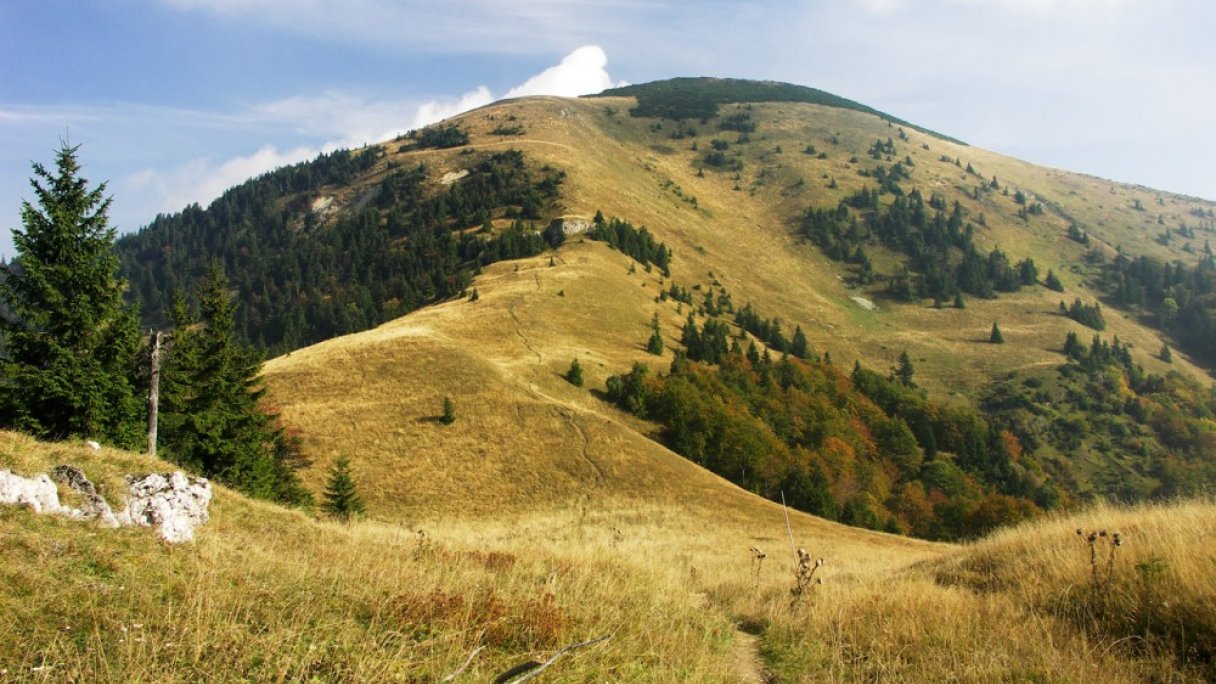 Túra na Rakytov z Liptovských Revúc 1 Autor: David Paloch (Caroig) Zdroj: https://sk.wikipedia.org/wiki/Rakytov_(vrch)#/media/S%C3%BAbor:Rakytov,_Ve%C4%BEk%C3%A1_Fatra_(SVK)_-_southern_side.jpg