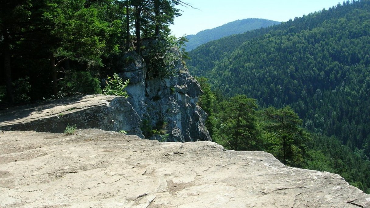 Túra na Tomášovský výhľad zo Spišských Tomášoviec 1 Autor: Silvio Pašmik Zdroj: https://sk.wikipedia.org/wiki/Tom%C3%A1%C5%A1ovsk%C3%BD_v%C3%BDh%C4%BEad#/media/S%C3%BAbor:Tom%C3%A1%C5%A1ovsk%C3%BD_v%C3%BDh%C4%BEad_2.jpg