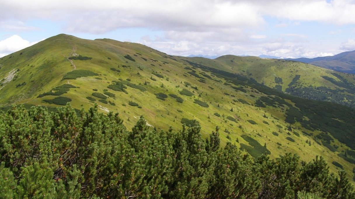 Túra na Veľkú Chochuľu z Donovál 1 Autor: Daniel Baránek Zdroj: https://sk.wikipedia.org/wiki/Ve%C4%BEk%C3%A1_Chochu%C4%BEa#/media/S%C3%BAbor:N%C3%ADzk%C3%A9_Tatry,_Pra%C5%A1iv%C3%A1,_v%C3%BDhled_SV_01.jpg