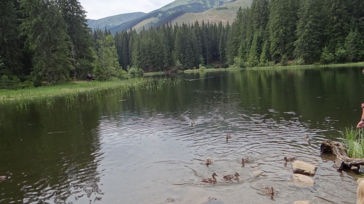 Túra k Vrbickému Plesu z Demänovskej doliny 1 Autor: Jerzy Opioła Zdroj: https://sk.wikipedia.org/wiki/Vrbick%C3%A9_pleso#/media/S%C3%BAbor:Vrbick%C3%A9_pleso_TN2_(1).JPG