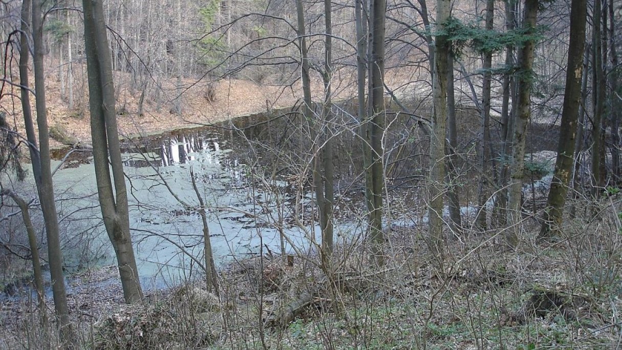 Túra na Náučný chodník Žakýlske pleso z Podhoria 1 Autor: Skreno Zdroj: https://sk.wikipedia.org/wiki/%C5%BDak%C3%BDlske_pleso#/media/S%C3%BAbor:%C5%BDak%C3%BDlske_pleso.jpg