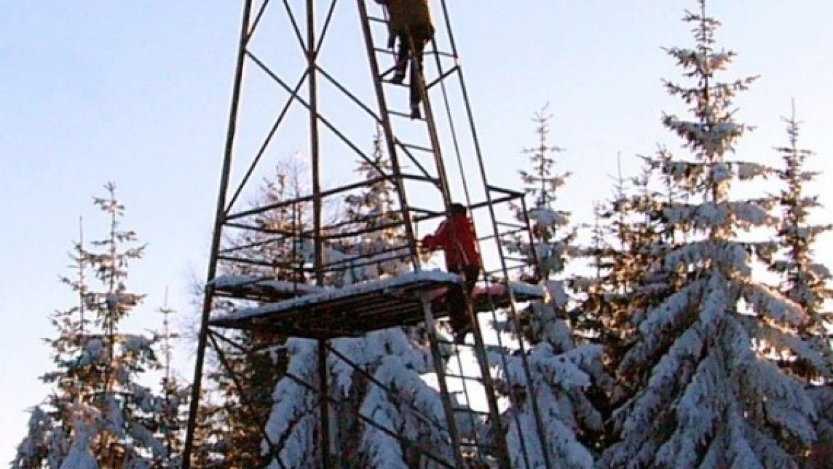 Rozhľadňa Skorušina 1 Autor: Teslaton Zdroj: https://sk.wikipedia.org/wiki/Zoznam_rozh%C4%BEadn%C3%AD_na_Slovensku#/media/S%C3%BAbor:Skorusina_observation_tower_winter_01.jpg