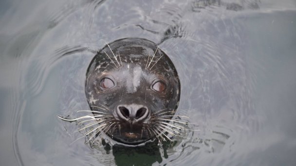 Zoo Košice 6 Zdroj: https://scontent-vie1-1.xx.fbcdn.net/v/t31.0-8/s960x960/24255066_1516615821708238_8944822058011711125_o.jpg?_nc_cat=105&_nc_sid=8024bb&_nc_oc=AQno9XSJaS6z7MV0VgsgAwcZS3bi2jXAa7ooXoMV6Z4uogOs5boHW8aAVIE5pq62rt0&_nc_ht=scontent-vie1-1.xx&_nc_tp=7&oh=dfaed0bd0fa2d065ccc6943e8e13c169&oe=5ECC288E Zoo Košice 6 Zdroj: https://scontent-vie1-1.xx.fbcdn.net/v/t31.0-8/s960x960/24255066_1516615821708238_8944822058011711125_o.jpg?_nc_cat=105&_nc_sid=8024bb&_nc_oc=AQno9XSJaS6z7MV0VgsgAwcZS3bi2jXAa7ooXoMV6Z4uogOs5boHW8aAVIE5pq62rt0&_nc_ht=scontent-vie1-1.xx&_nc_tp=7&oh=dfaed0bd0fa2d065ccc6943e8e13c169&oe=5ECC288E