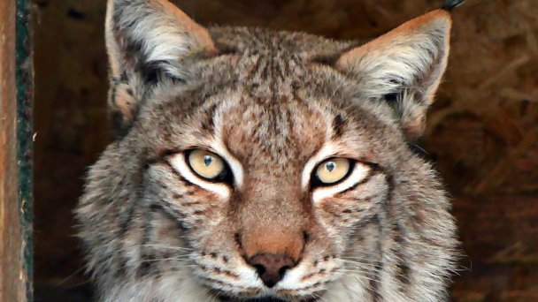 Zoologická záhrada 4 Zoologická záhrada 4
