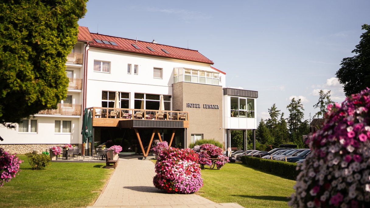Hotel Lesana **** Stará Lesná 1