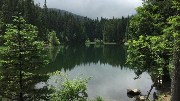 Relaxačný pobyt v srdci  turistického a lyžiarskeho strediska Jasná – Nízke Tatry