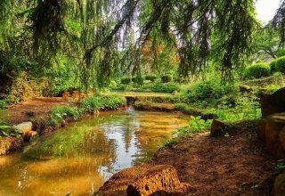 Sila lesného kúpeľa: Totálny reštart v Kúpeľoch Sliač
