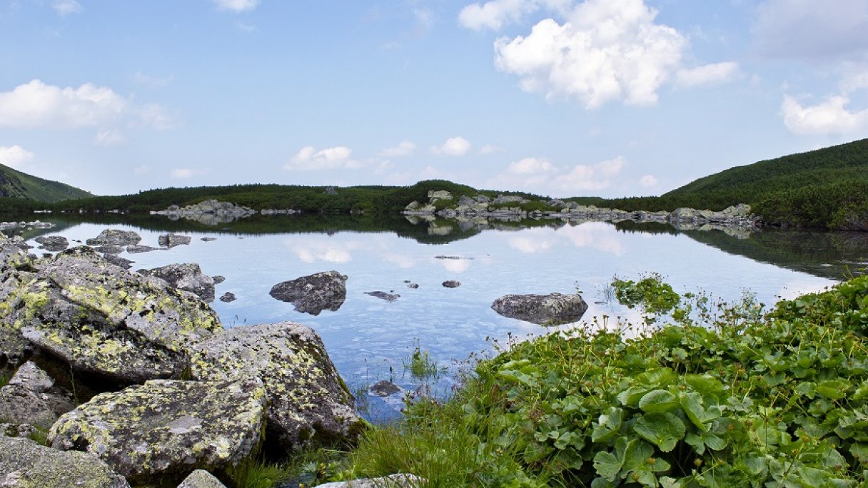 cervene-pleso Autor: Qvidemus Zdroj: https://sk.wikipedia.org/wiki/%C4%8Cerven%C3%A9_pleso#/media/S%C3%BAbor:Tatry_Czerwony_Staw.jpg