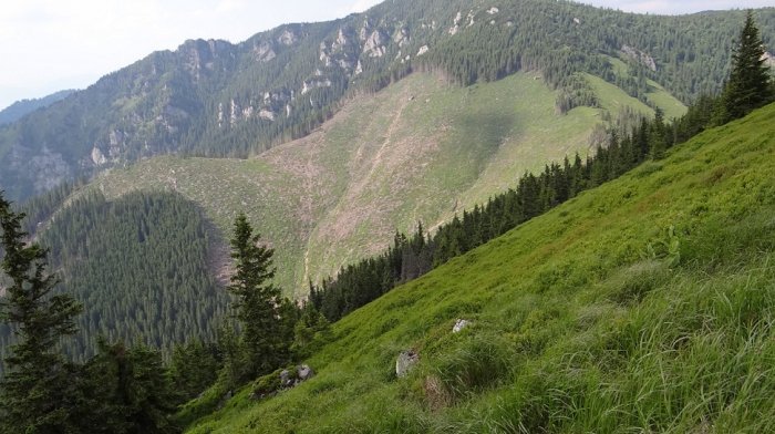 Krakova hoľa Západné Tatry