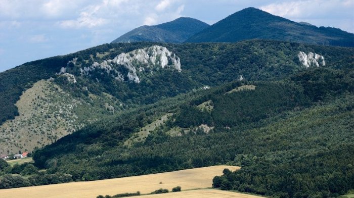 Vrch Záruby Malé Karpaty