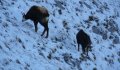 Fotogaléria Vysoké Tatry - Belianske Tatry 63