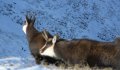 Fotogaléria Vysoké Tatry - Belianske Tatry 17