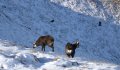 Fotogaléria Vysoké Tatry - Belianske Tatry 16